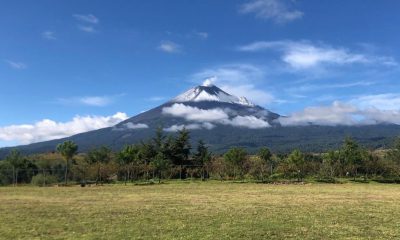 Durante las últimas horas, el volcán Popocatépetl registró 148 exhalaciones, acompañadas de gases y ligeras cantidades de ceniza, y una explosión moderada,