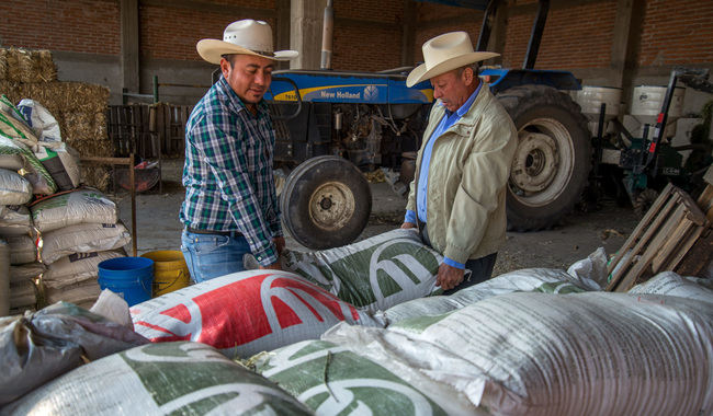 Fertilizantes Aguascalientes