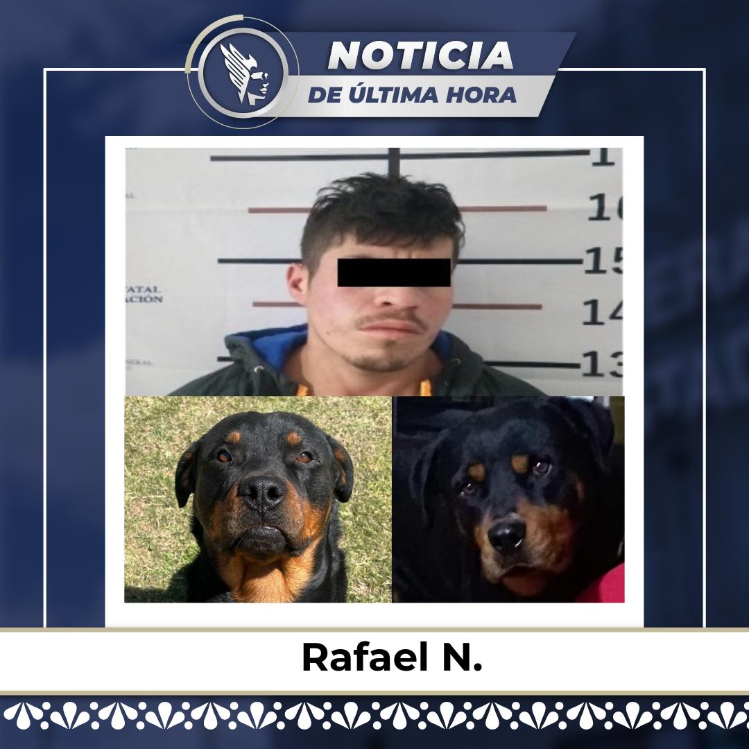 Procesan a joven por crueldad animal en Chignahuapan
