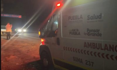 Se reportó la intoxicación de trabajadores en el Rastro de Aves