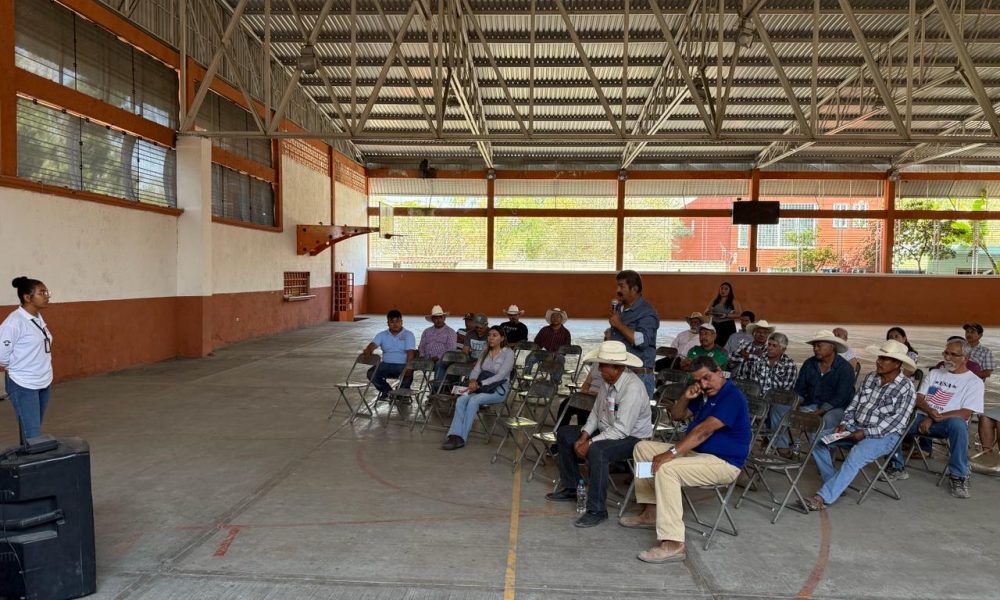 Csh Platica Plática informativa sobre el caso del gusano barrenador - SICOM Noticias